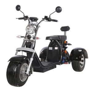 Citycoco fat tire, 3 wheel trike motorcycle